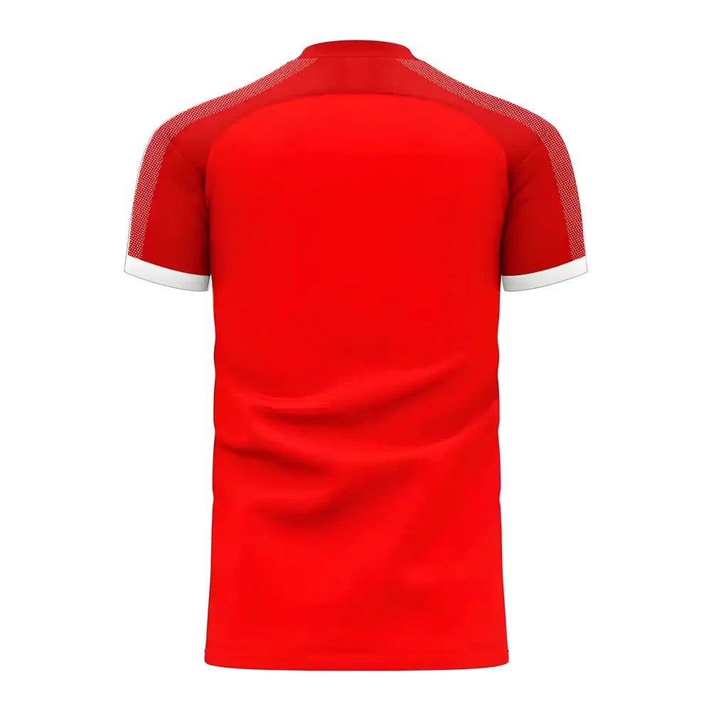 Serbia 2025-2026 Home Concept Football Kit (Libero)_1
