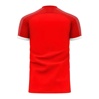 Serbia 2025-2026 Home Concept Football Kit (Libero)_1
