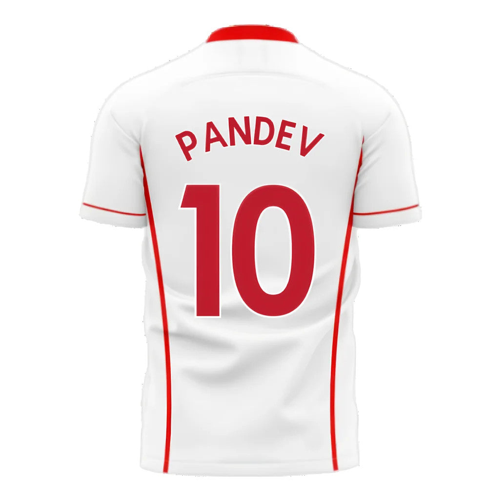  North Macedonia 2025-2026 Away Concept Shirt (Libero) (Pandev 10)_4