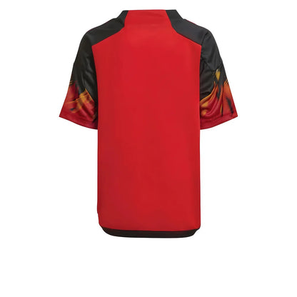 2022-2023 Belgium Home Mini Kit_1