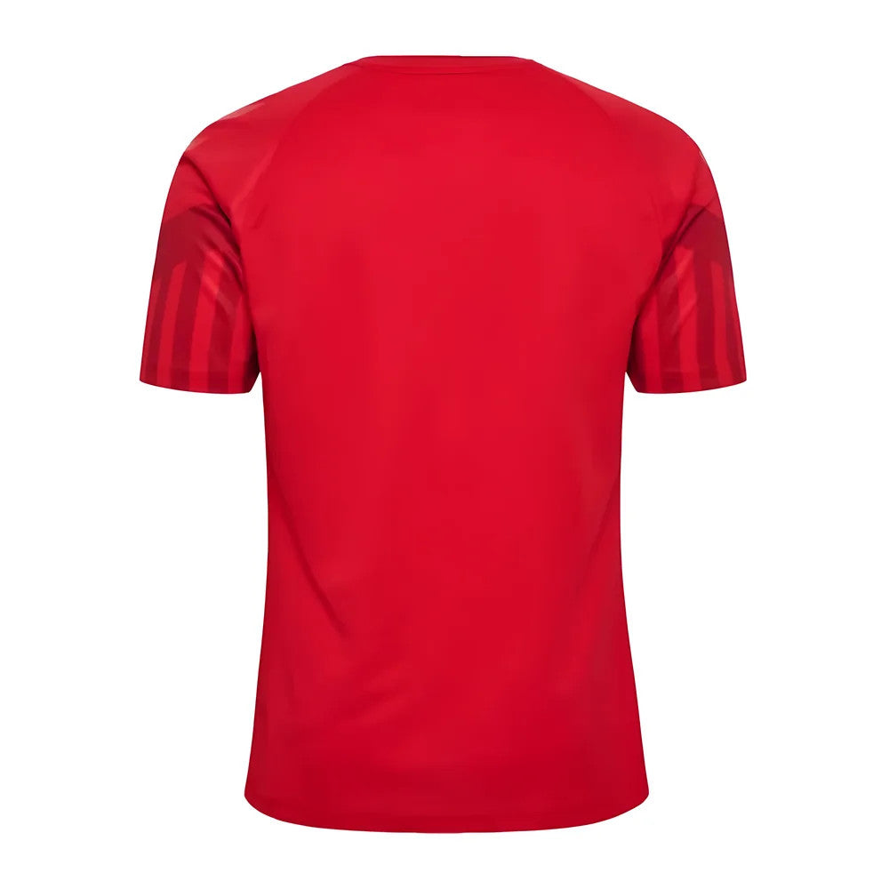 2022-2023 Denmark Home Jersey_1