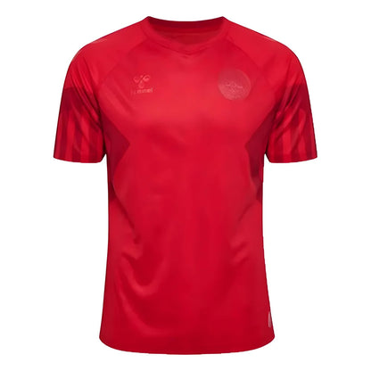 2022-2023 Denmark Home Jersey_1