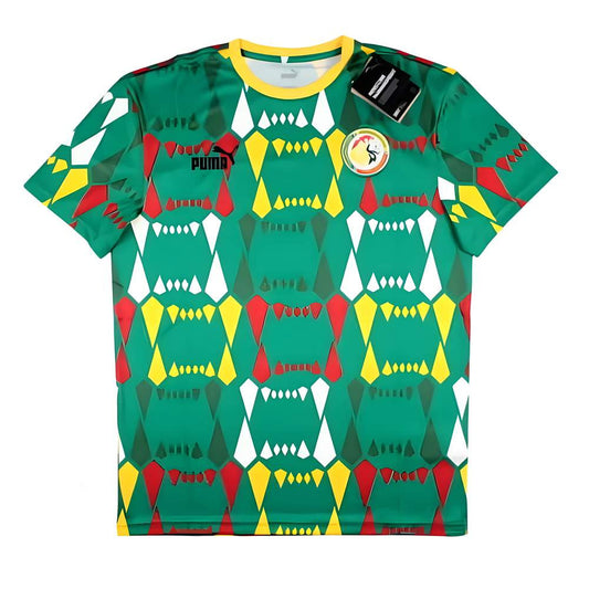 2023-2024 Senegal FtblCulture Jersey (Green)_1