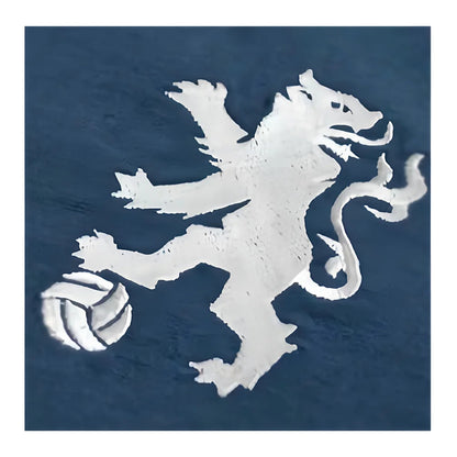 Chelsea Lampard The Lionheart Blue 8 Shirt_1