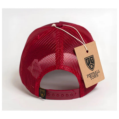 The Villan Trucker Cap_1