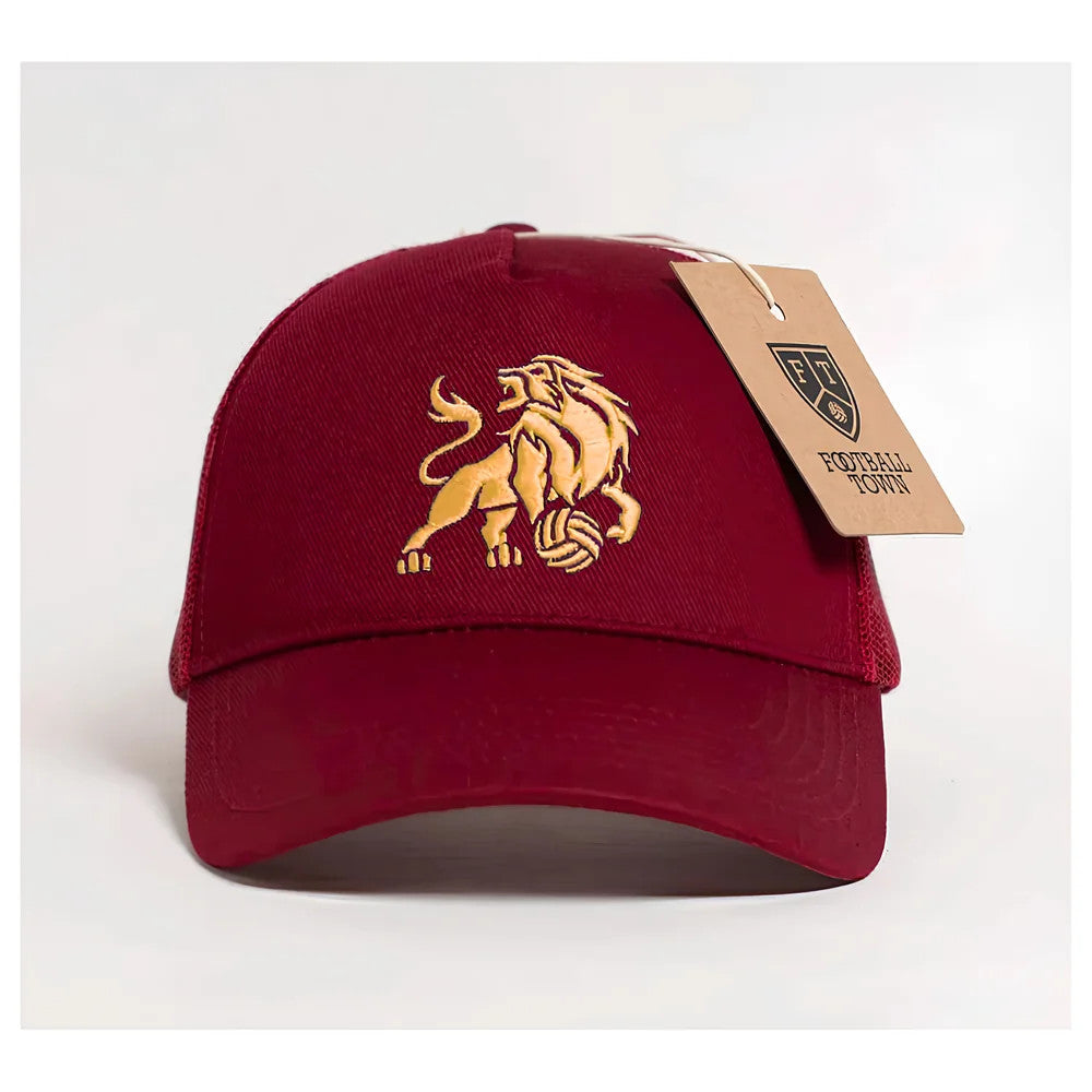 The Villan Trucker Cap_0