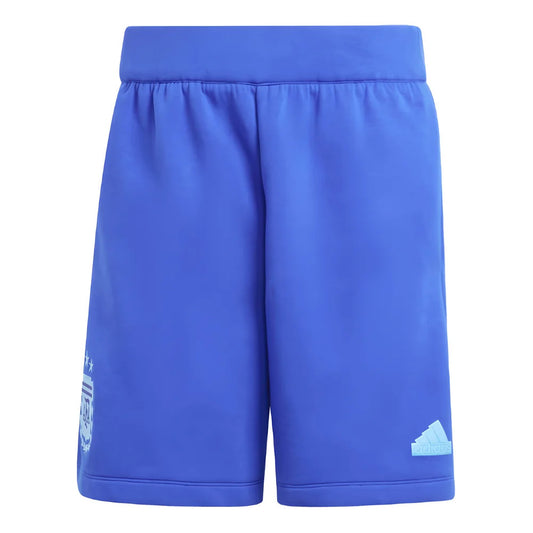 2024-2025 Argentina Travel Shorts (Blue)_1