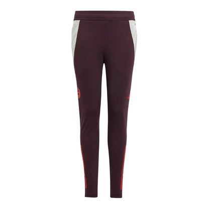 2024-2025 Bayern Munich Training Pants (Shadow Maroon) - Kids_1