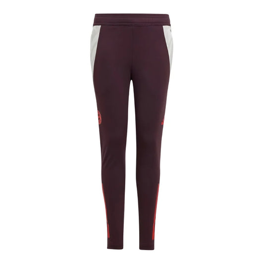 2024-2025 Bayern Munich Training Pants (Shadow Maroon) - Kids_1