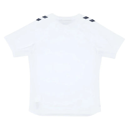 2024-2025 Denmark Training Jersey (White)_1