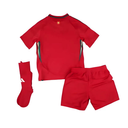 2024-2025 Wales Home Mini Kit_1