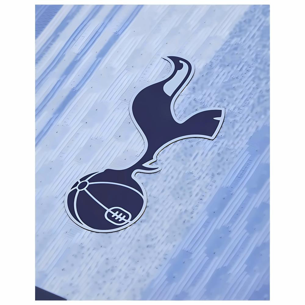 2024-2025 Tottenham Hotspur Authentic Away Shirt_3