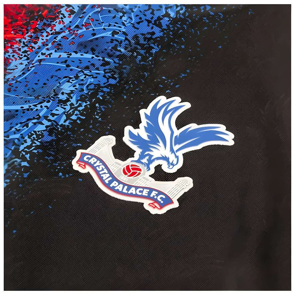 2024-2025 Crystal Palace Third Shirt_3