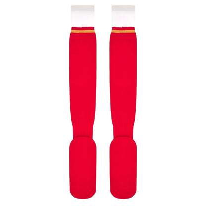 2024-2025 Wales Rugby Home Socks (Kids)_2