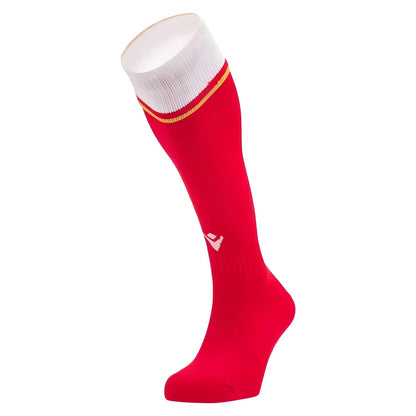 2024-2025 Wales Rugby Home Socks (Kids)_2
