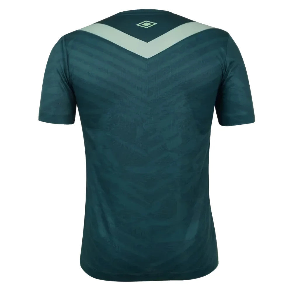 2024-2025 Chapecoense Third Shirt_2