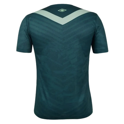 2024-2025 Chapecoense Third Shirt_2