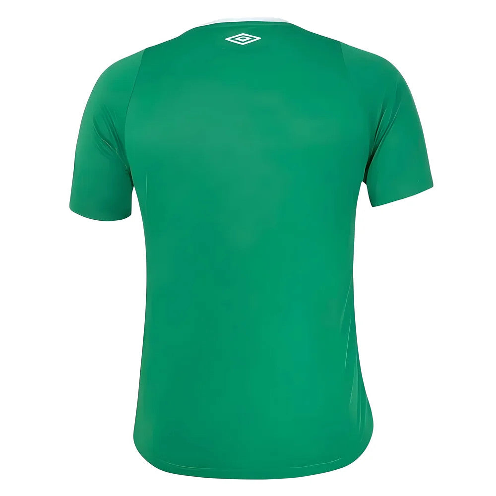 2024-2025 Chapecoense Home Shirt_1