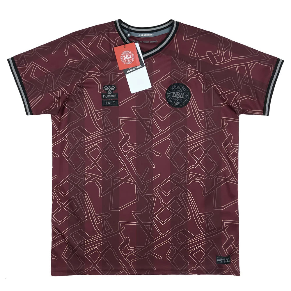 2024-2025 Denmark Special Edition Hummel x Halo Shirt (Kids)_3