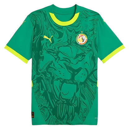 2024-2025 Senegal Away Shirt_2