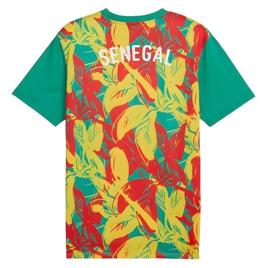 2024-2025 Senegal Prematch SS Jersey (Green)_2