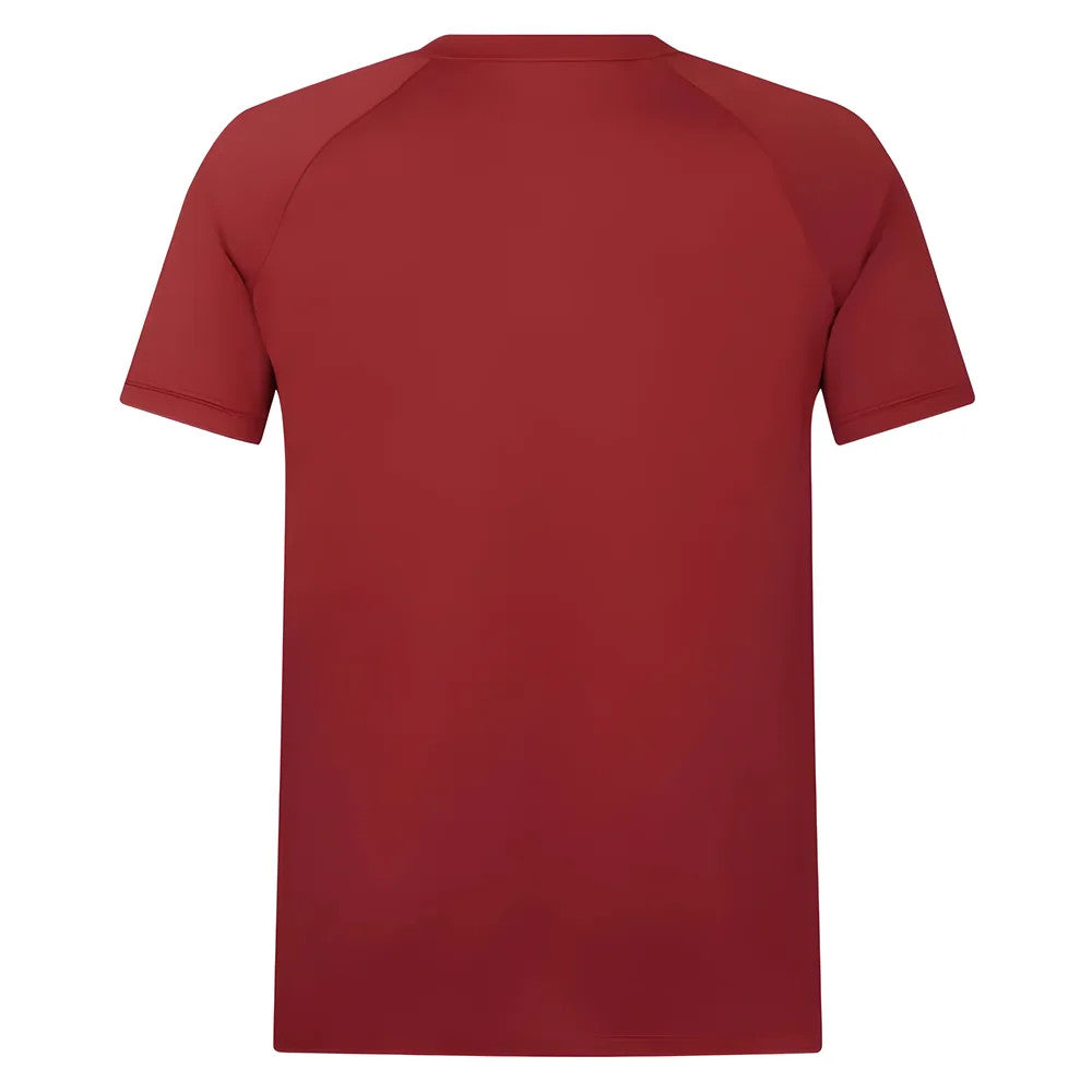 2025 British & Irish Lions Poly Polo Shirt (Red)_2