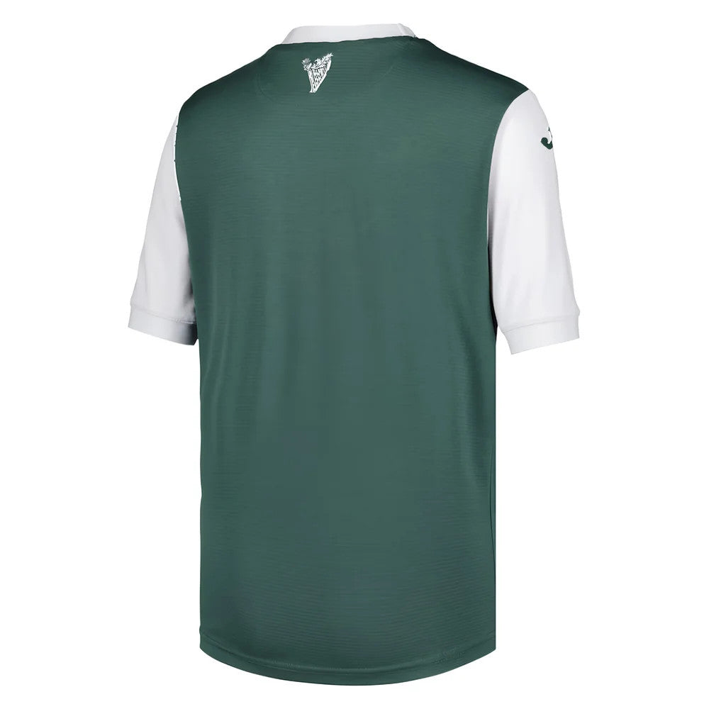 2025-2026 Hibernian Home Shirt - Kids_3