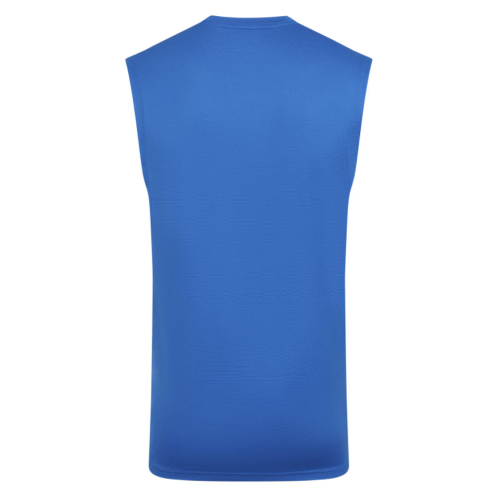2025-2026 Wolves Players Training Vest (Lapis Blue)_2