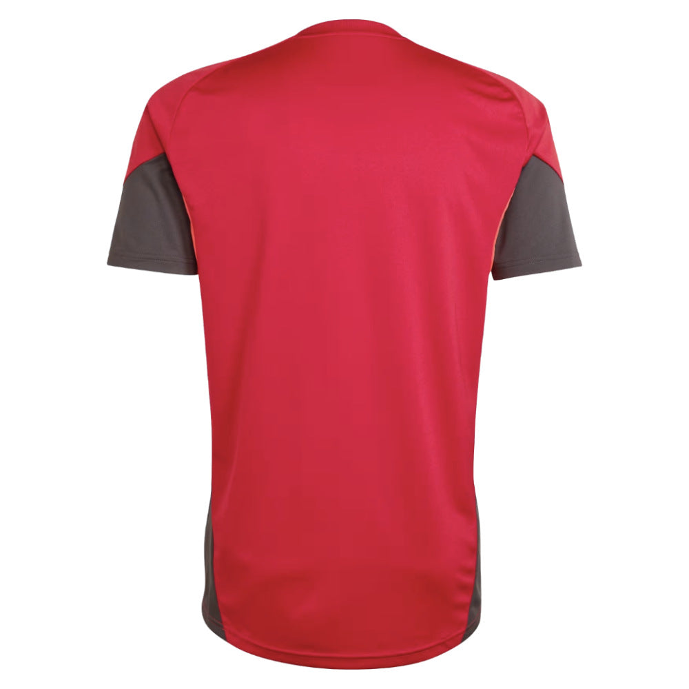 2025-2026 Liverpool Training Jersey (Strawberry Red)_2