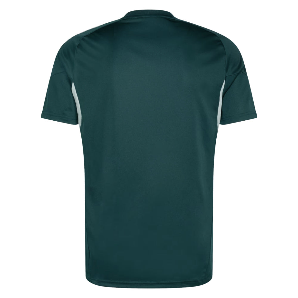 2025-2026 Arsenal Training Jersey (Aurora Ivy)_2