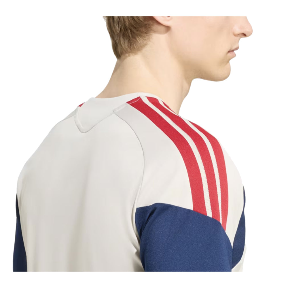 2026-2027 Bayern Munich Training Jersey (Alumina)_3