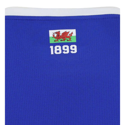 2026-2027 Cardiff City Home Shirt_3