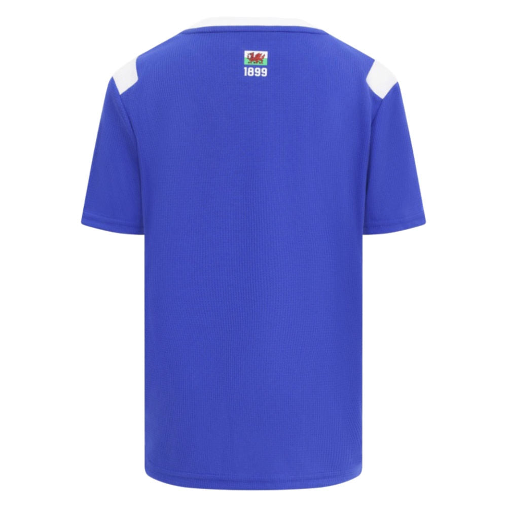 2026-2027 Cardiff City Home Shirt_2