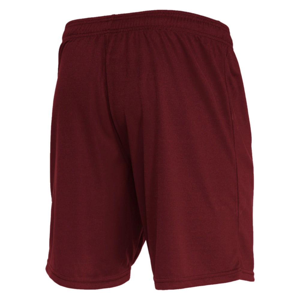 Mesa Hero Shorts (Purple)_1