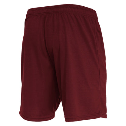 Mesa Hero Shorts (Purple)_1