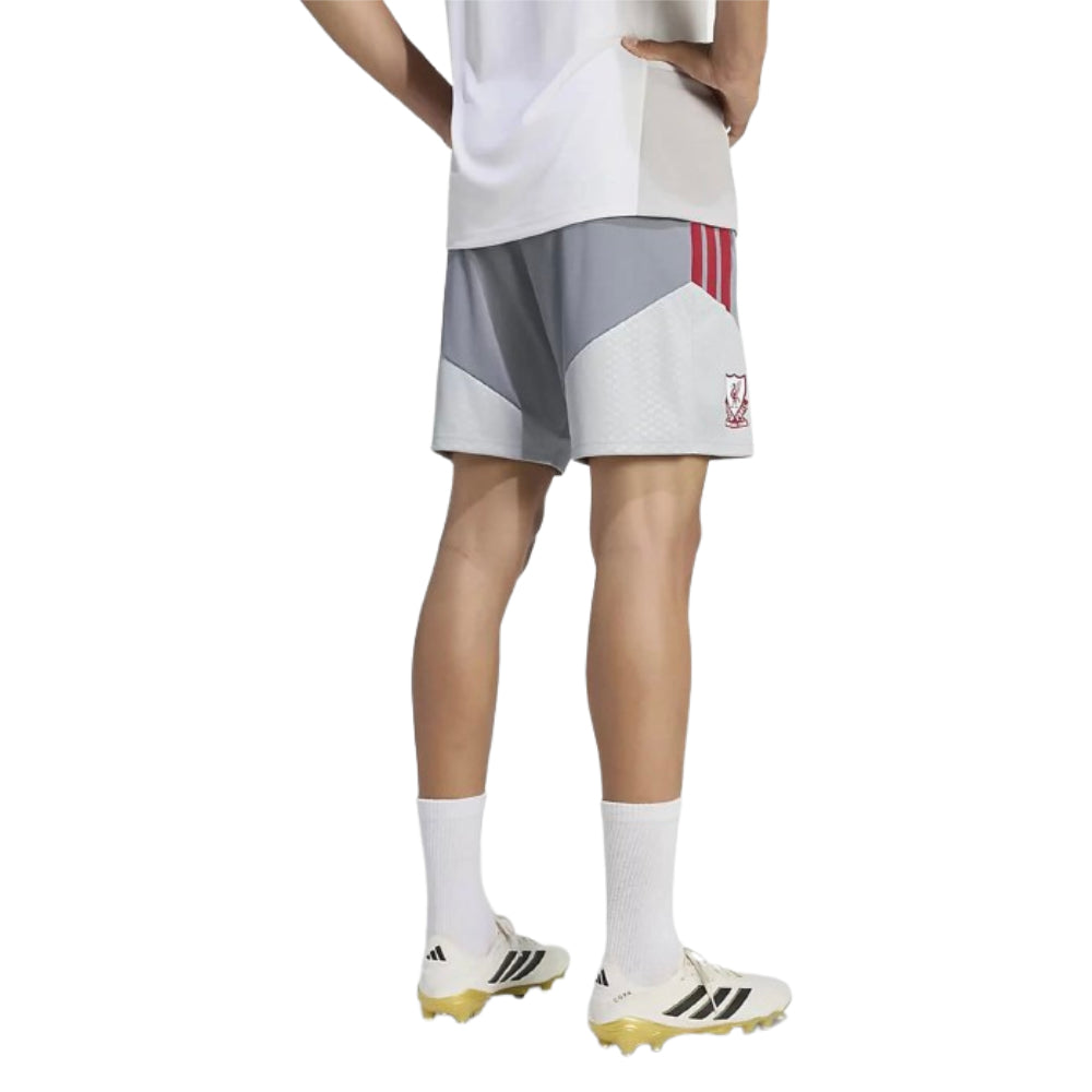 2026-2027 Liverpool EU Training Shorts (Grey)_1