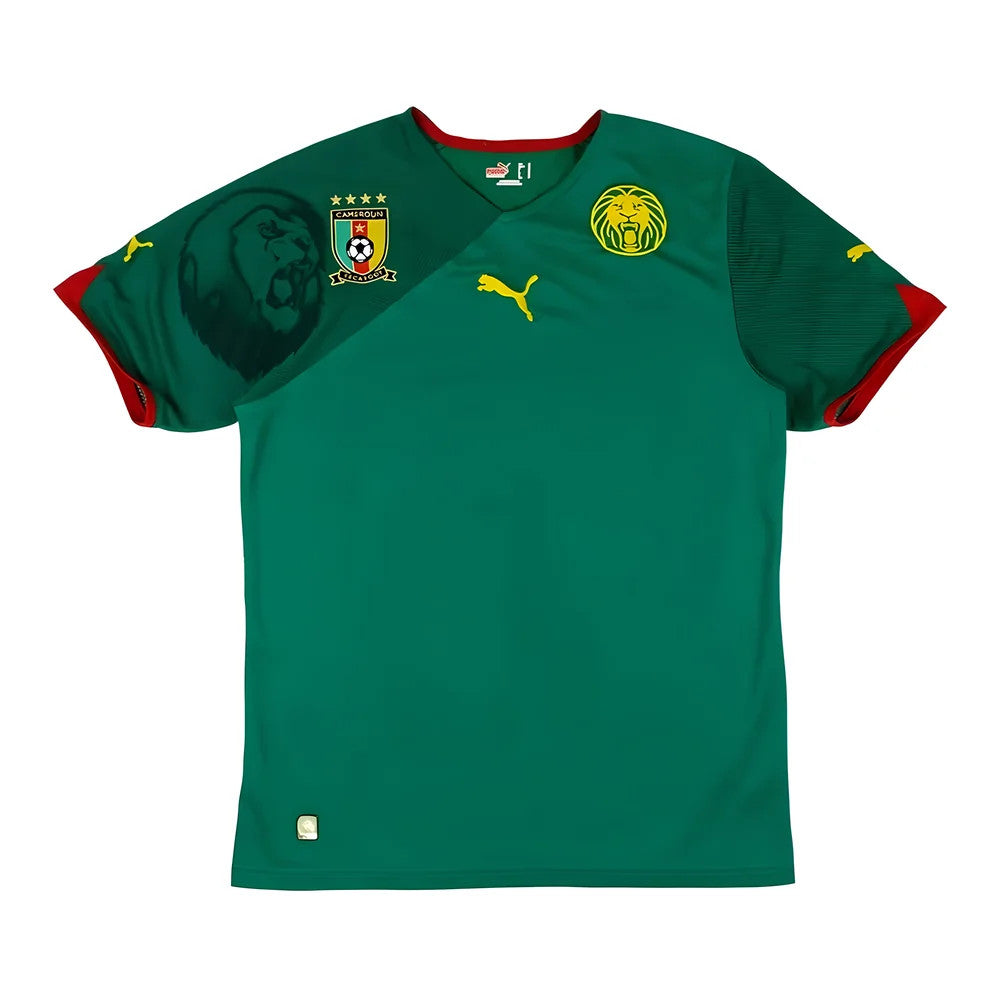 Cameroon 2010-11 Home Shirt ((Excellent) L)_1