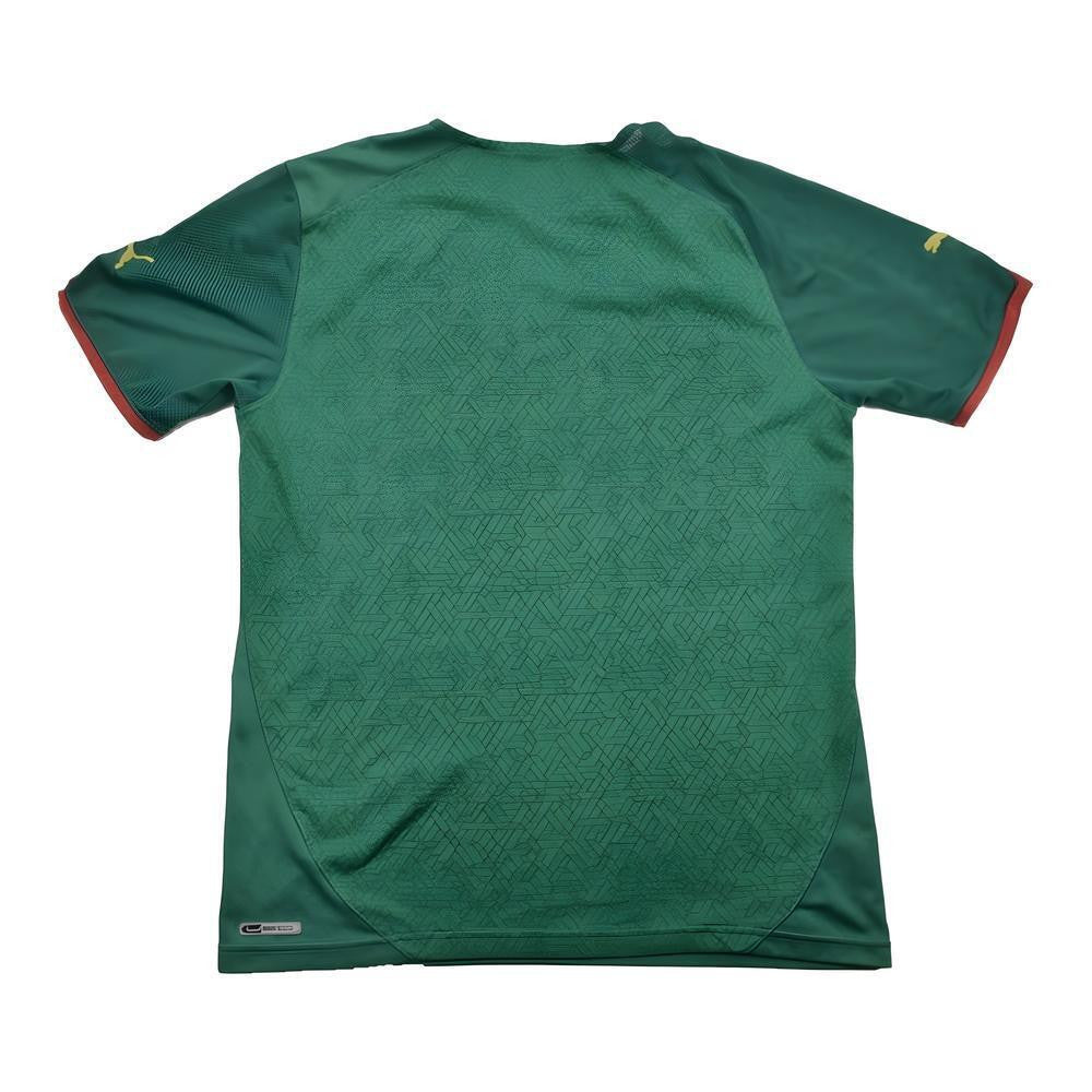 Cameroon 2010-11 Home Shirt ((Excellent) L)_1