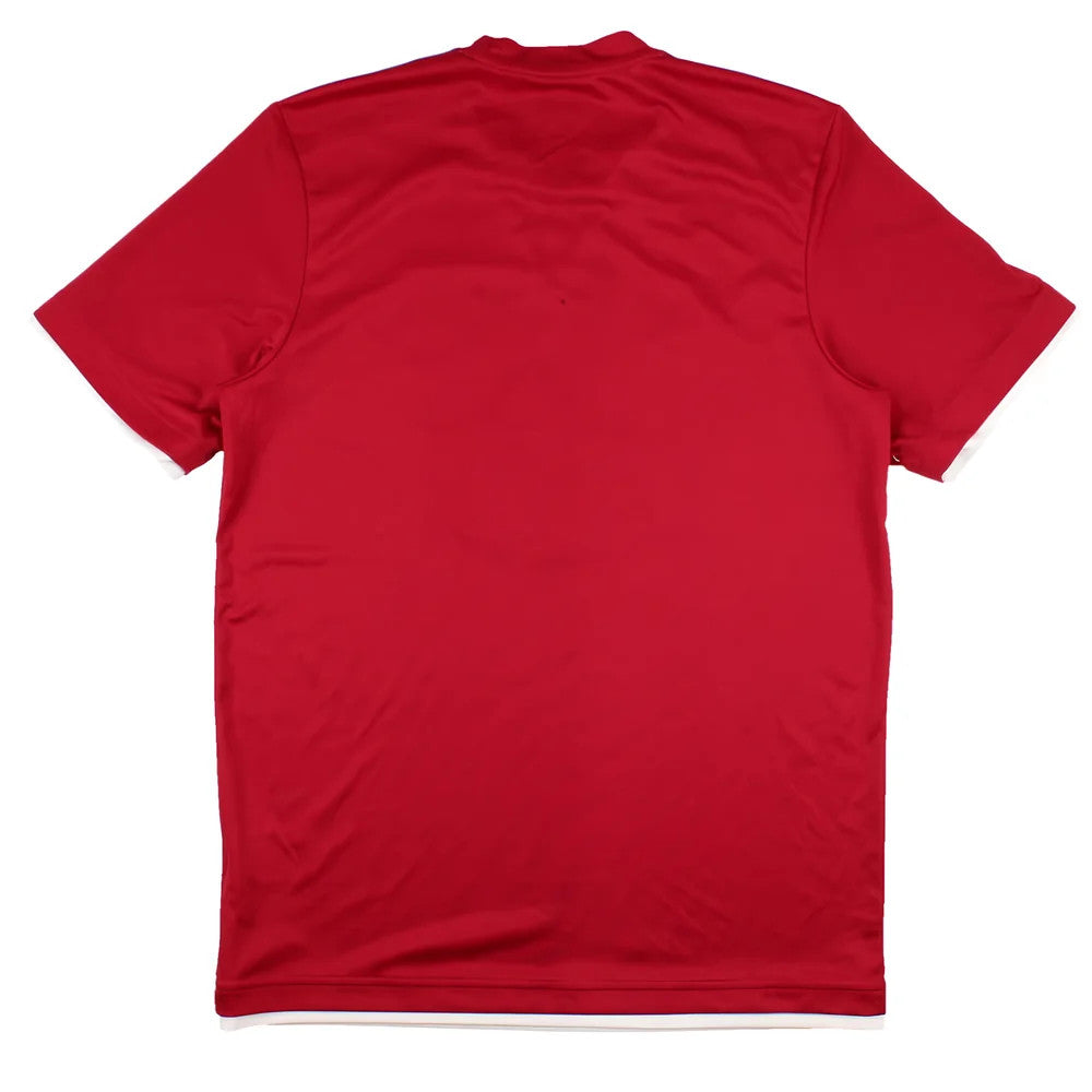 Denmark 2010-11 Adidas Training Shirt (S) (Good)_1