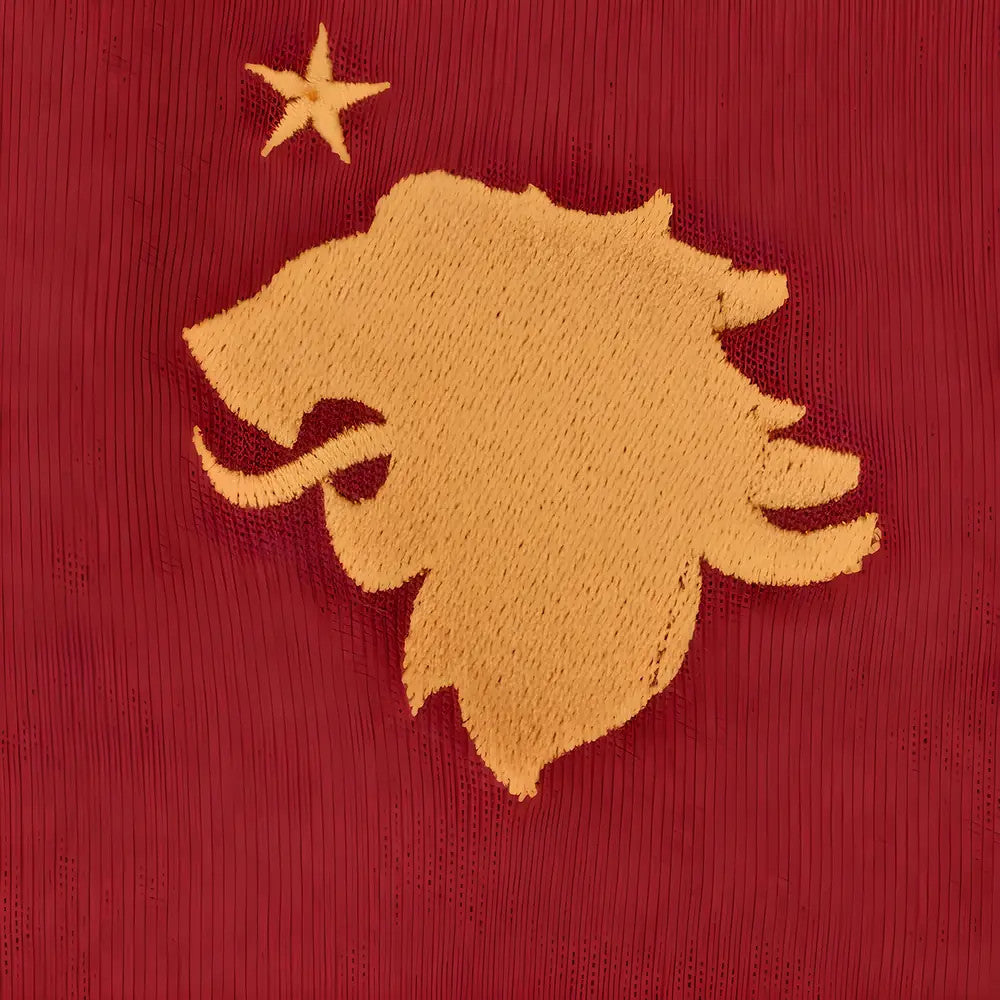 Aston Villa Retro Track Top_2