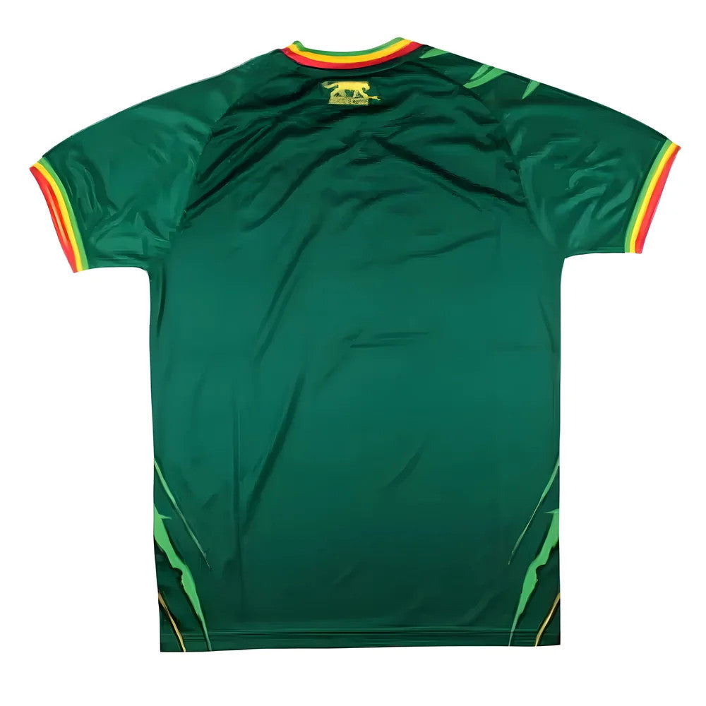 Mali 2023-24 Away Shirt (L) (BNWT)_1