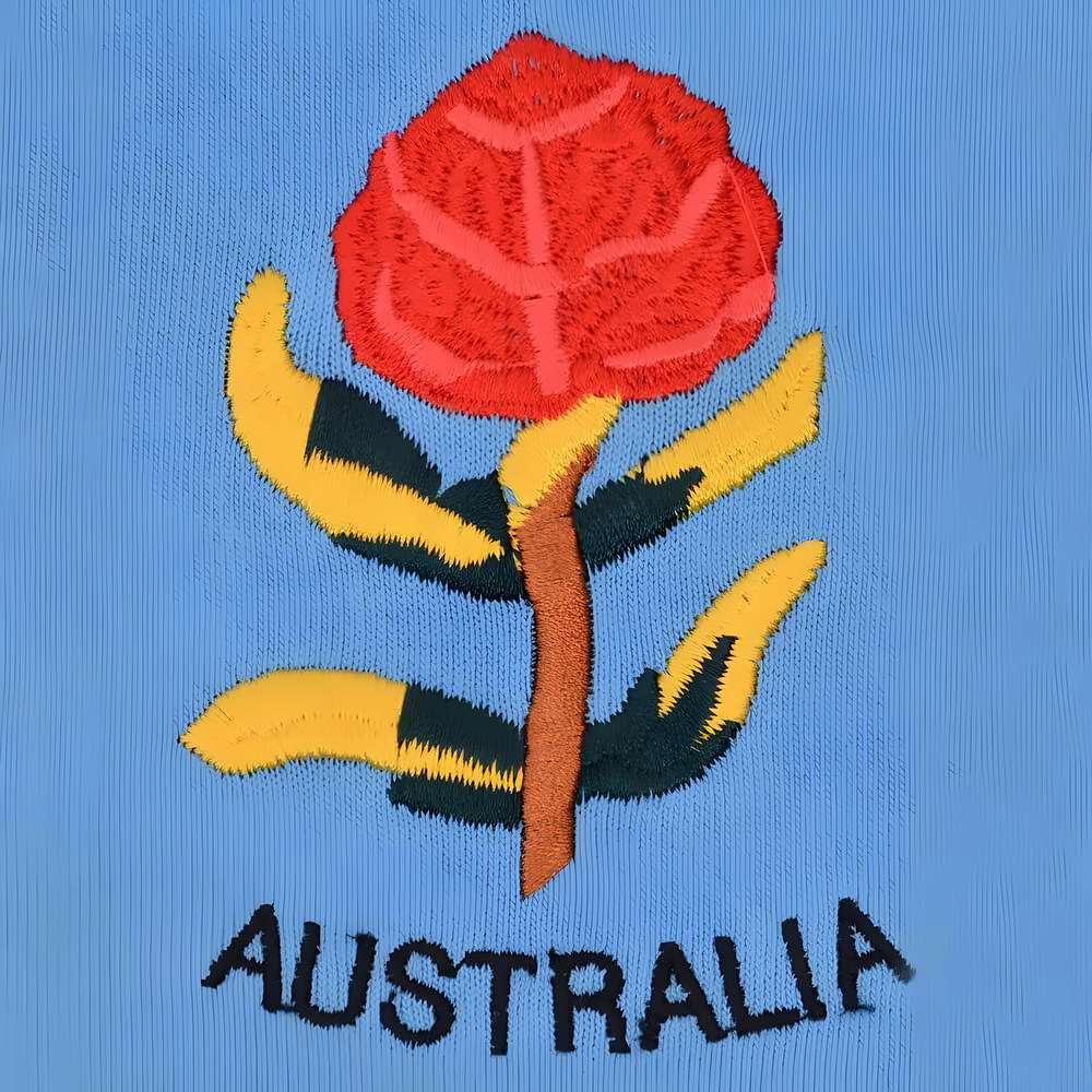 Australia 1908 Vintage Rugby Shirt_3